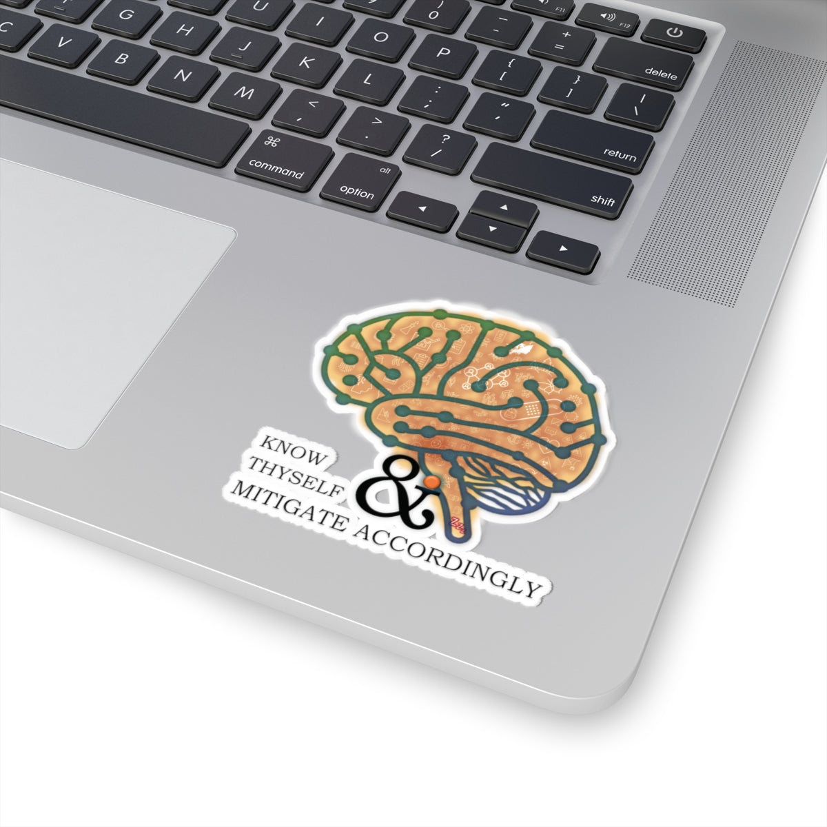 Brainy Sticker - "know thyself"